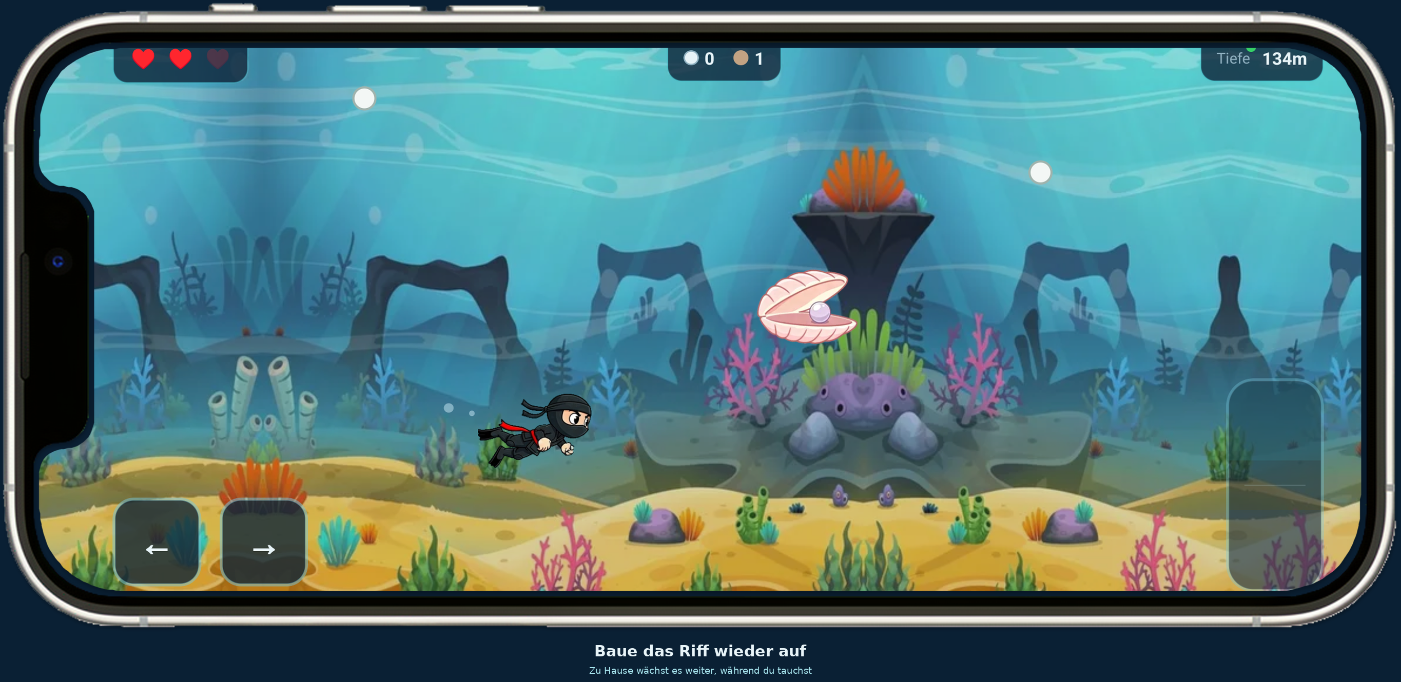 Deepsea Ninja Riff